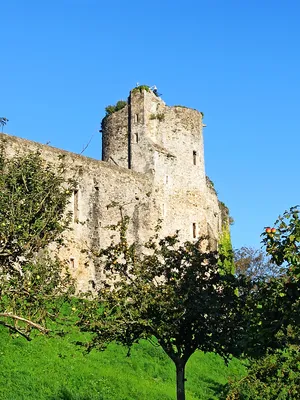 Château de Saint-Sauveur-le-Vicomte