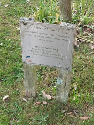 Arbre de la laïcité à Cherbourg-Octeville