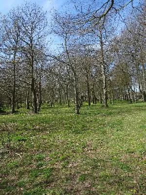 Parc du Château de Flamanville