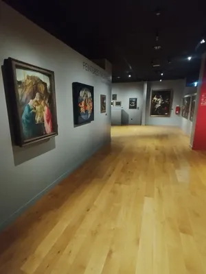 Musée Thomas Henry à Cherbourg-Octeville