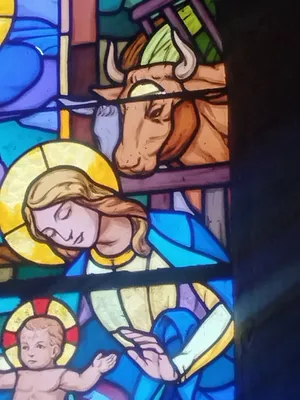 Vitrail Baie 5 de l'Église Notre-Dame à Turqueville