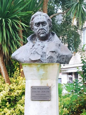 Monument Félix Vicq d'Azyr à Valognes